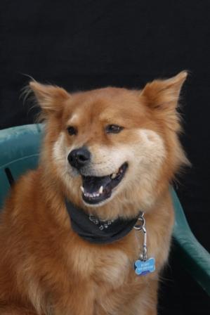 HappyBuddy0708.JPG